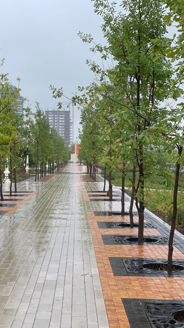 Приствольная решетка для дерева ZKING CRUST 1.2х1.2м Черная в Оренбурге фото